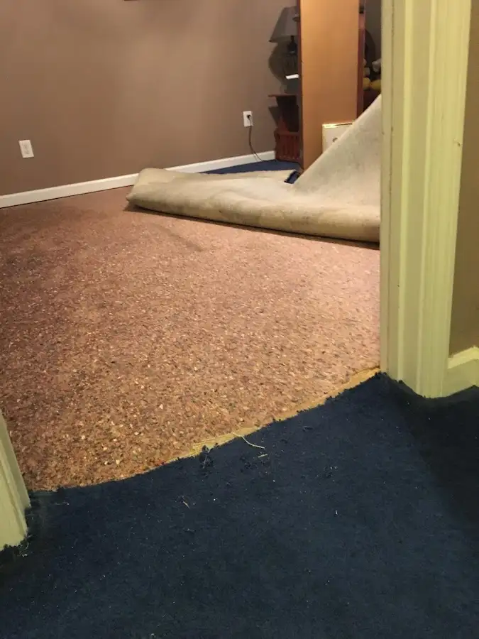 Carpet pad removal revealing water damage during Drying & Dehumidification in Blendon