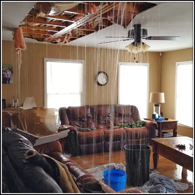Water Damage Restoration services in Blendon, MI