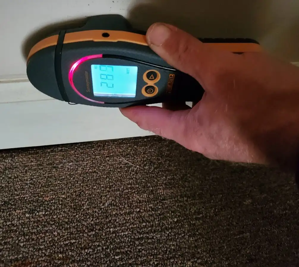 Moisture detection at baseboard during Sewage Cleanup & Sanitation in Blendon
